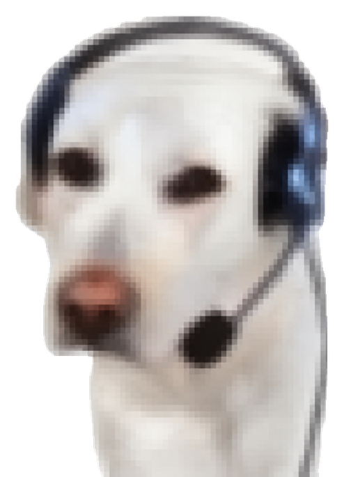 Support Dog wearing a call-center headset